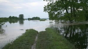 Najbardziej zagrożony jest rejon Gorzyc i powiatu mieleckiego, fot. Jola Lipka