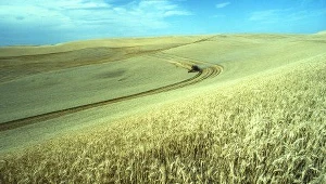 Konkurs "Piękna wieś" po raz dwunasty