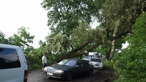 Połamane drzewa poblokowały drogi./fot. K. Uliczny