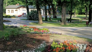 Ogród Jordanowski przy ul. Grodzkiej w Krośnie - takie miejsca będą odkomarzane jako pierwsze