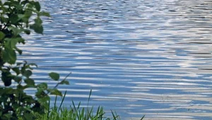 Studentka utonęła w stawie koło galerii