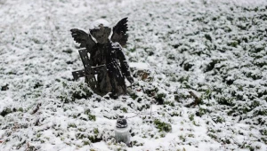 Od początku listopada w woj. lubuskim z tego powodu zmarły trzy osoby