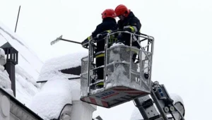 fot. Wojciech Traczyk