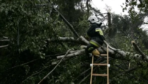  / fot. M. Barczyński