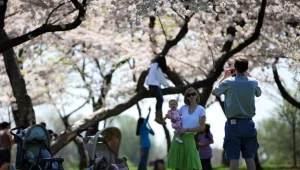 W Białymstoku pozwolono na wypoczywanie na parkowych trawnikach