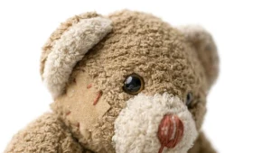 Przedszkolaki wraz ze studentami Uniwersytetu Medycznego będą "leczyć" pluszowe misie