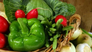 Zakończył się projekt promujący ekologiczną żywność