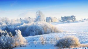 Ostre mrozy nadal trzymają