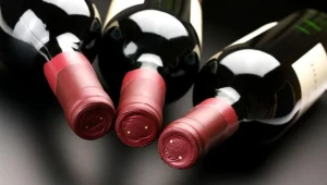 Podczas szkolenia można nauczyć się, jak uprawiać winorośl oraz produkować wino