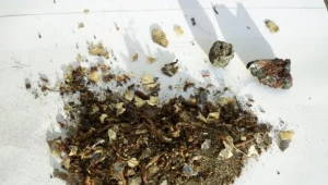 W Wielkopolsce spadł meteoryt?