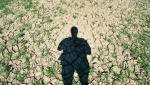 Susza w pięciu województwach