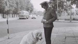 Milicjant wypisujacy mandat psu/fot. Zenon Zyburtowicz