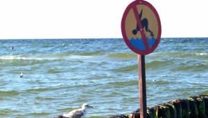 Kąpiel w miejscu, gdzie kwitną sinice, jest niebezpieczna.