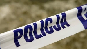 fot. Dariusz Borowicz