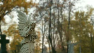 W okresie Wszystkich Świętych będą zmiany w funkcjonowaniu komunikacji miejskiej w Zielonej Górze