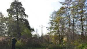 Aleksandrów Łódzki: Mężczyzna spłonął w zaroślach