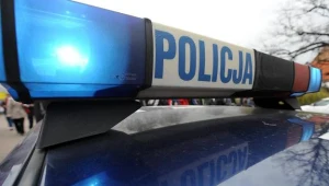 fot. Wojciech Stróżyk