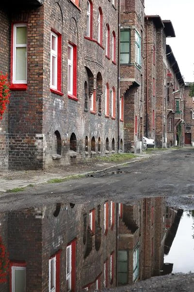 /fot. Andrzej Grygiel