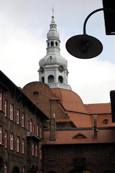 /fot. Andrzej Grygiel