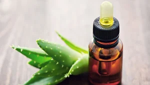 Aloes podbił serca Polek. Coraz więcej kobiet korzysta z jego dobroczynnych właściwości