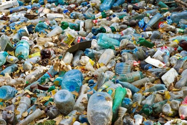 Koniec z długo rozkładającym się plastikiem. Bioplastik z krewetek uratuje przyrodę?