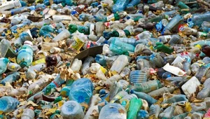 Koniec z długo rozkładającym się plastikiem. Bioplastik z krewetek uratuje przyrodę?