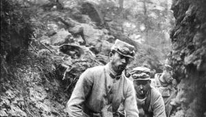 I wojna światowa na froncie zachodnim, rok 1915