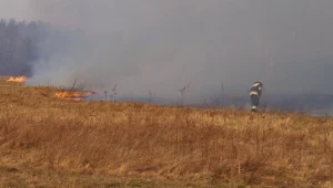 Spłonęło 30 hektarów lasów i nieużytków