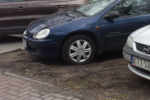Proponujemy rozwiązanie kontrowersyjne, lecz radykalne. Dajmy sobie spokój z fikcją utrzymywania setek pseudozieleńców i niby-trawników Proponujemy rozwiązanie kontrowersyjne, lecz radykalne. Dajmy sobie spokój z fikcją utrzymywania setek pseudozieleńców i niby-trawników