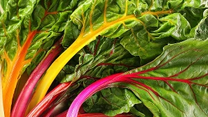 Zupka lub sałatka z botwinki pomaga w problemach z wątrobą