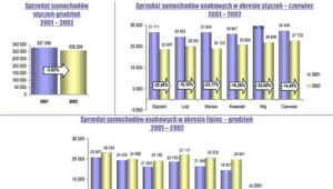 Sprzedaż aut w 2002 r.