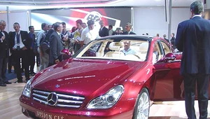 Vision CLS