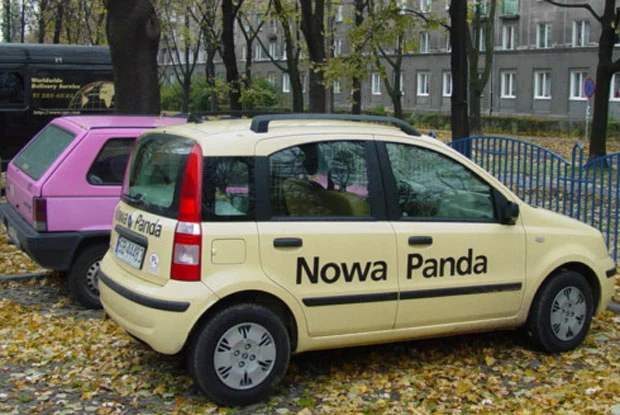 Stara i nowa panda... Wkrótce porównanie! / kliknij