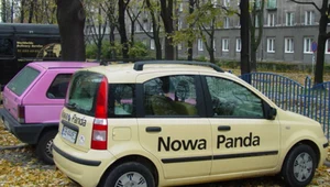 Panda kontra panda