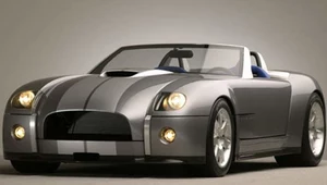 Shelby Cobra - na sportowo...