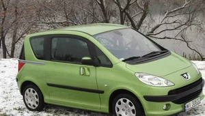 Peugeot 1007 przegrał z ....zimą