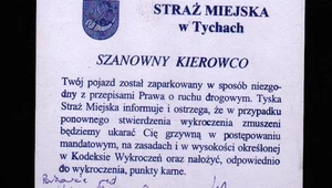 Ta straszna Straż Miejska...