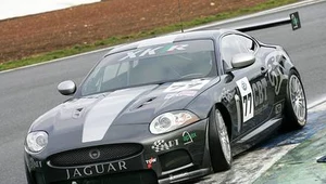 Wyczynowy jaguar XK