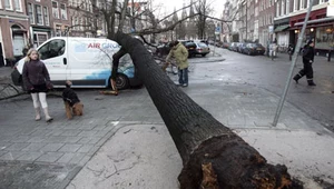 Kierowco! Uważaj na wiatr...