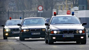 Jeżdżą "na zderzaku", a pierwszy toruje drogę