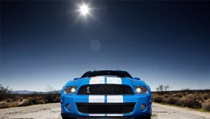 Nowy shelby GT500