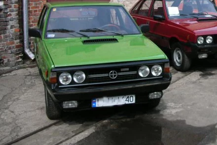 Polonez. Fot. archiwum