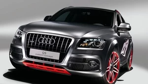 Audi Q5 custom concept