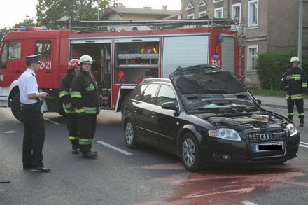 Foto: Wojciech Obremski (lca.pl)