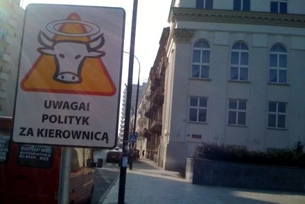 Polityk, czyli święta krowa?