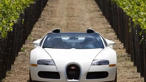 Veyron w Napa Valley