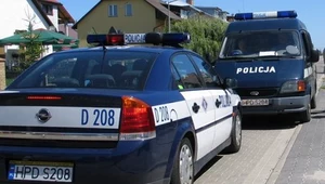 Policja zniknie z dróg?