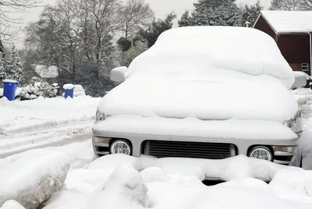 Śnieg znów sypie