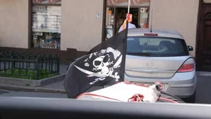 Niektórzy kierowcy nie kryją się nawet, że są piratami drogowymi