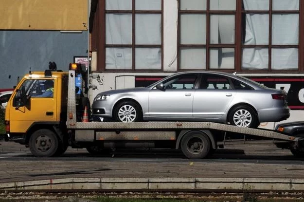 Audi na lawecie to rzadki widok / Fot: Włodzimierz Wasyluk